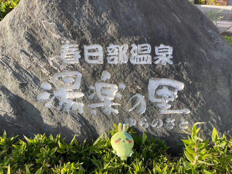 さぁたろさんの春日部温泉 湯楽の里のサ活写真