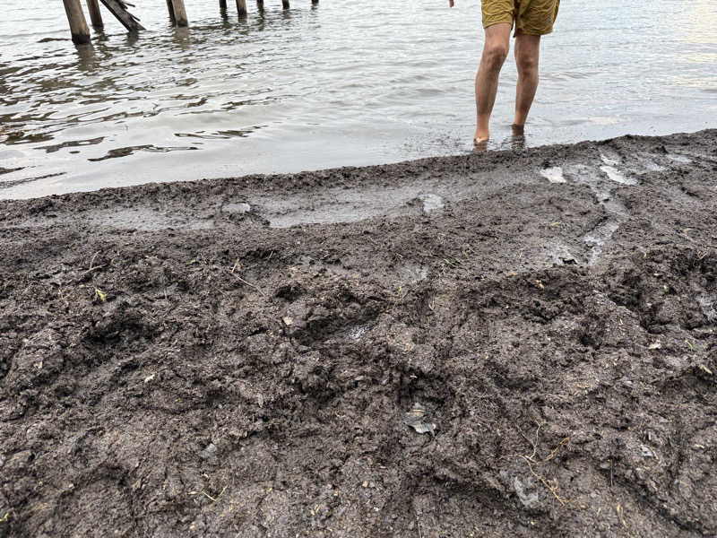 やまピー監督さんのThe Saunaのサ活写真