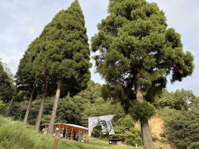 やまピー監督さんの菊水さうなのサ活写真