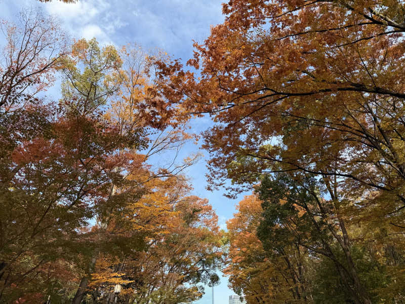 やまピー監督さんのサウナ&スパ カプセルホテル 大東洋のサ活写真