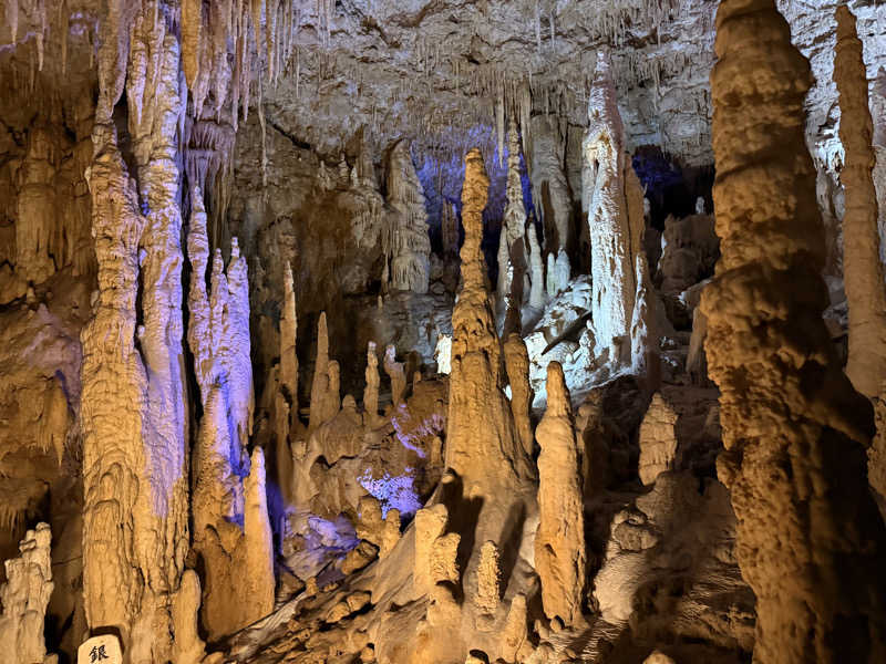 やまピー監督さんの猿人の湯 (ユインチホテル南城)のサ活写真