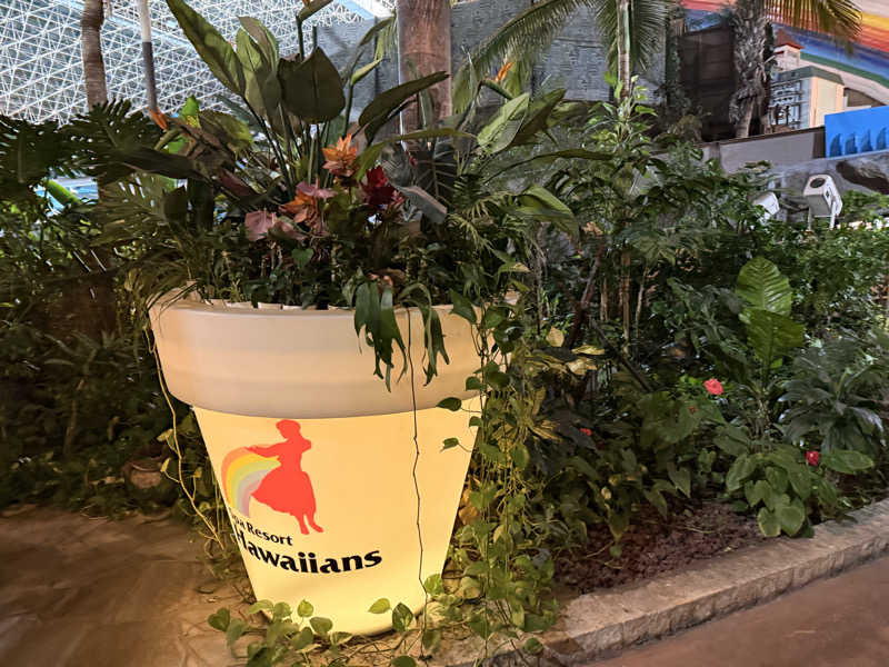 やまピー監督さんのスパリゾートハワイアンズのサ活写真