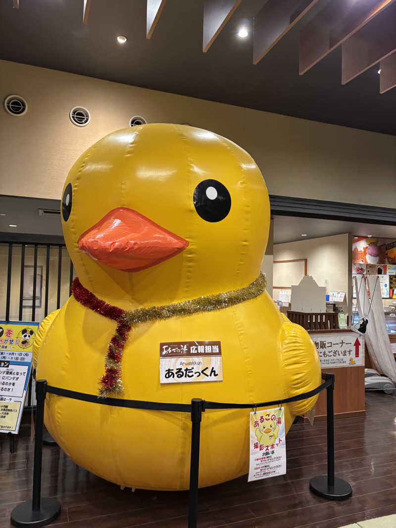 ミディアム・ザ・翔くんさんの神州温泉 あるごの湯のサ活写真