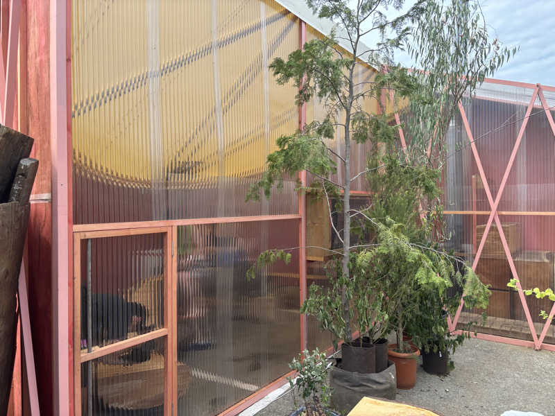 ミディアム・ザ・翔くんさんの北加賀屋MULTI BARTHEのサ活写真