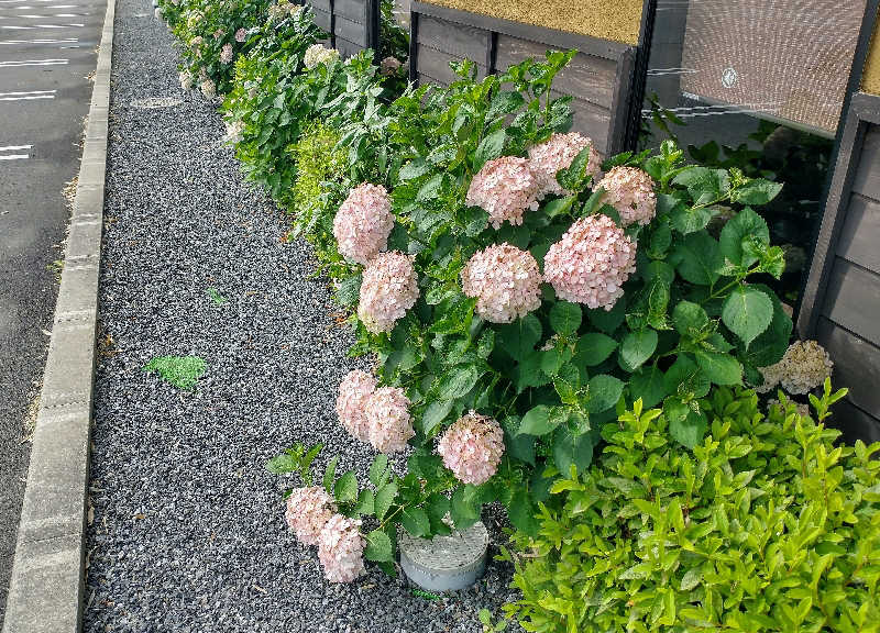 ４２６さんのひたちなか温泉 喜楽里別邸のサ活写真