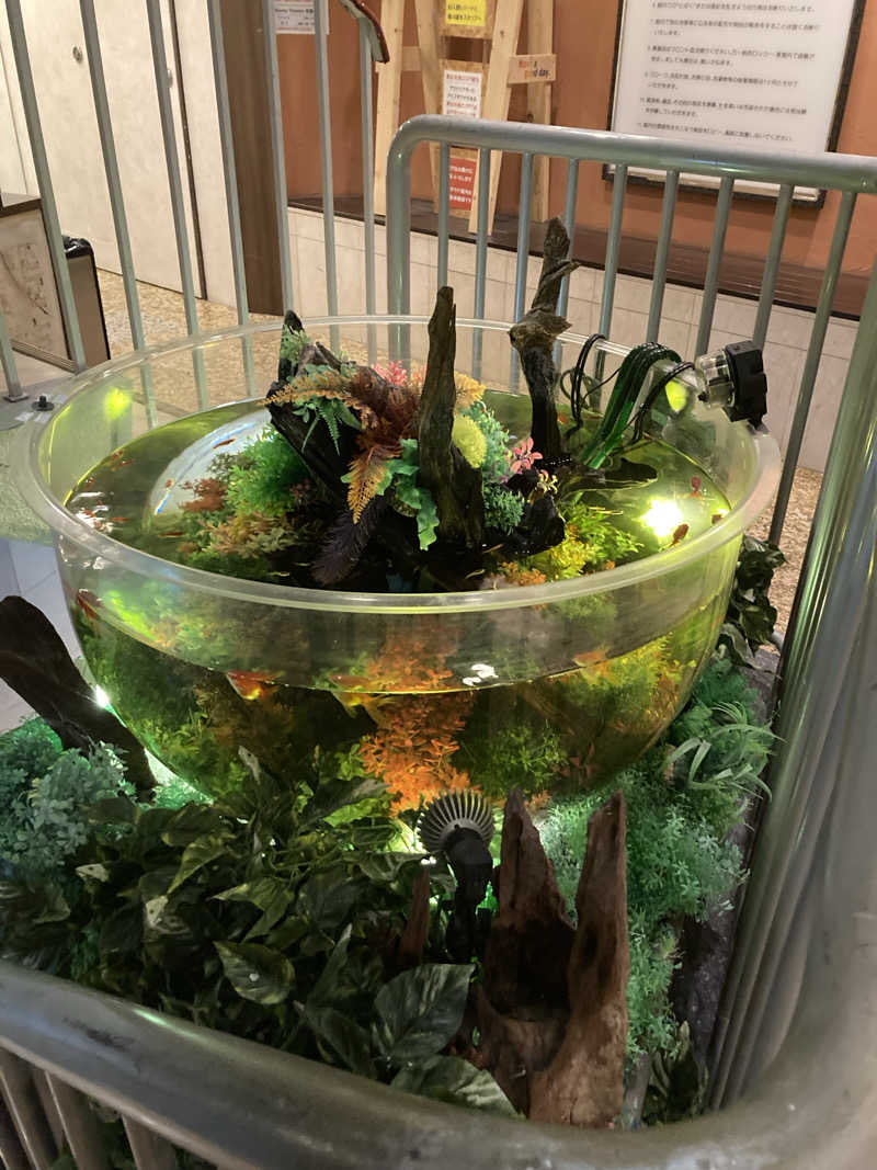 なおちんさんのウェルビー福岡のサ活写真