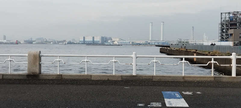 担々麺さんの恵びす温泉のサ活写真