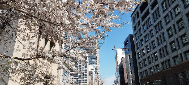 担々麺さんのSaunaLab Kanda (サウナラボ神田)のサ活写真