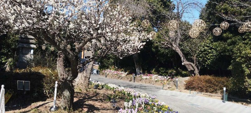 担々麺さんのよみうりランド眺望温泉 花景の湯のサ活写真