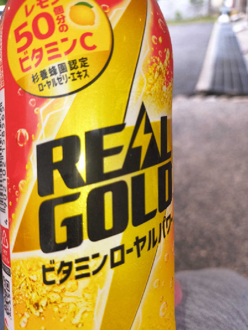 不動産バスケおじさんのホテル シルク温泉やまびこのサ活写真