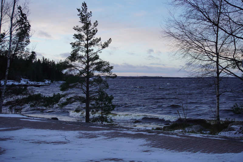 はやく人間になりた〜いさんのKaupinojan Saunaのサ活写真