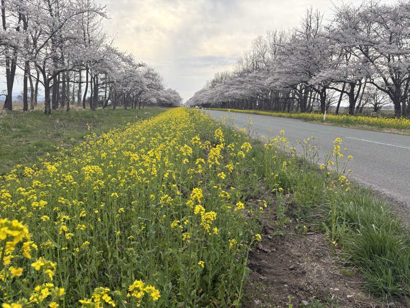 湯BBaさんの砂丘温泉ゆめろんのサ活写真