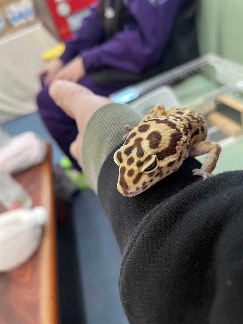 サウナ乞食さんの海浜あみだ湯のサ活写真