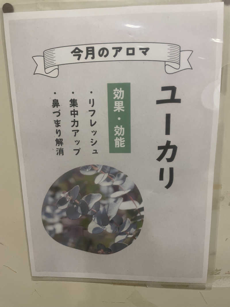 生ロー（namarooo）さんのヘルシーランド福島のサ活写真