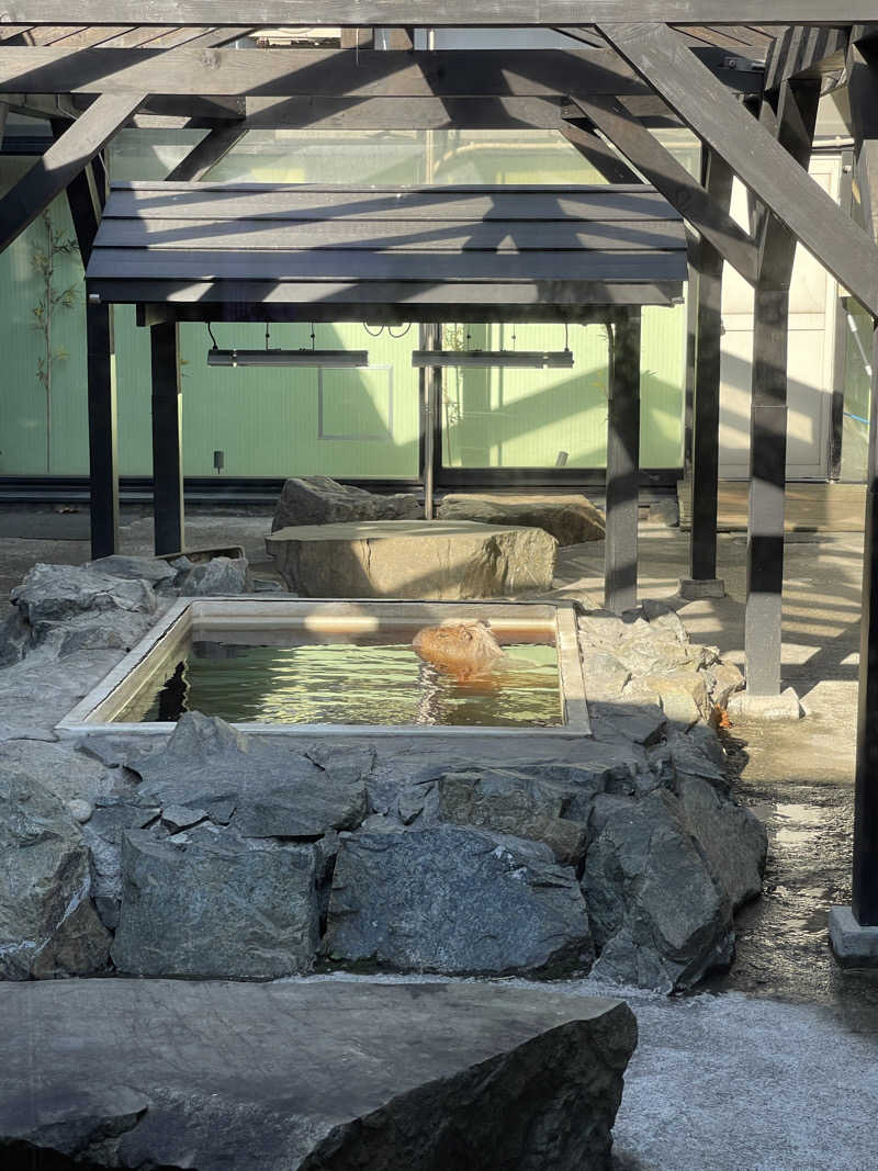 グルスパさんの石狩天然温泉 番屋の湯のサ活写真