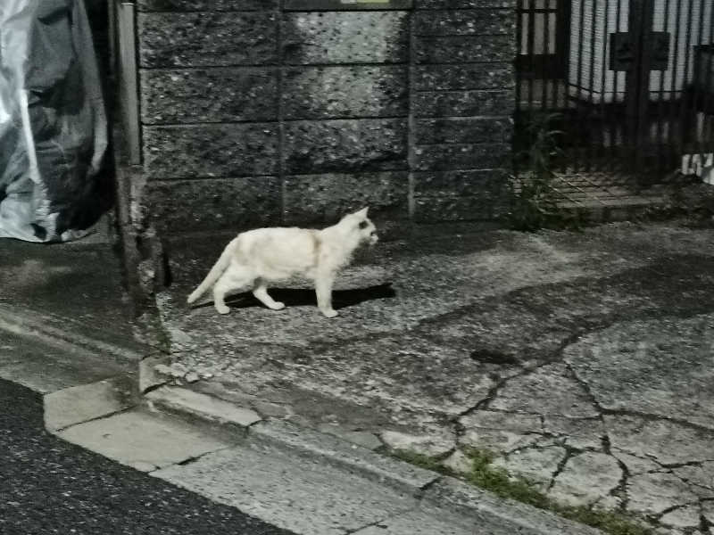 ヨネさんのタイムリゾートのサ活写真