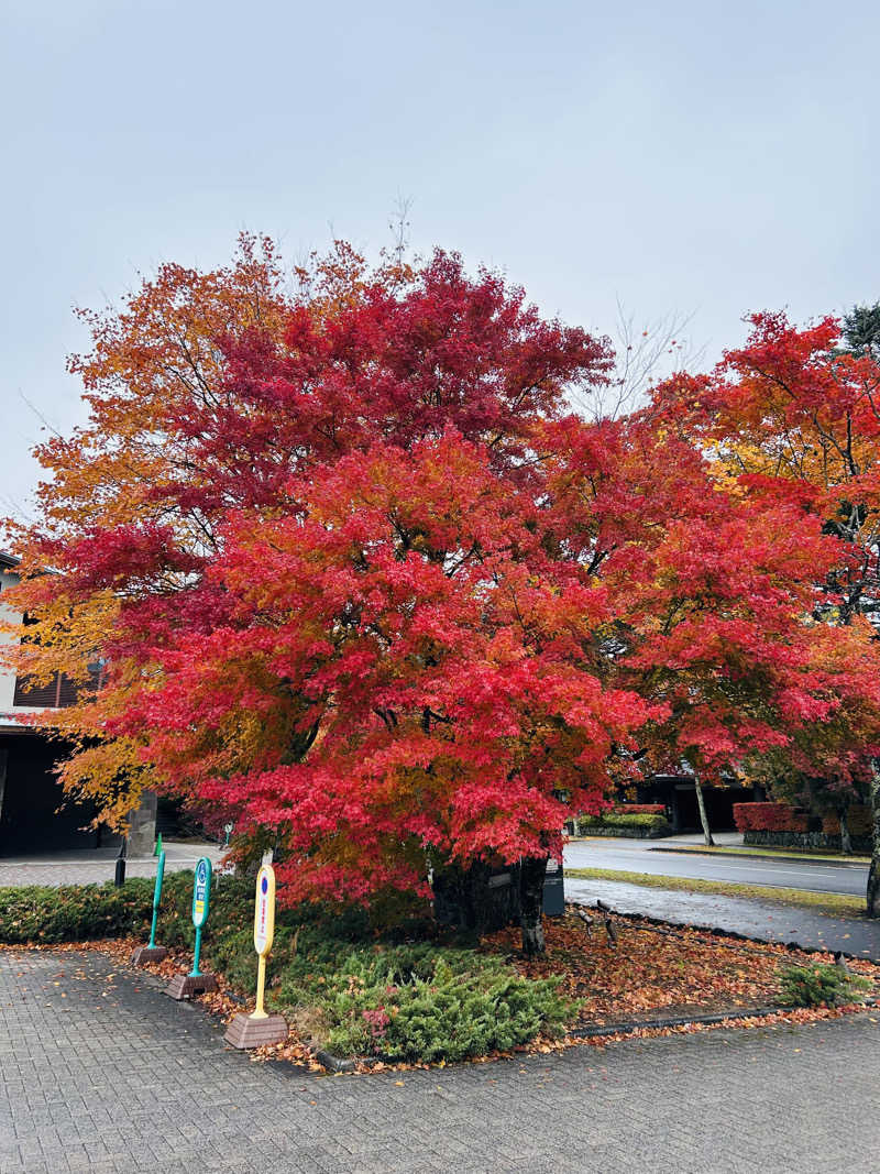 サウナ子さんの東急ハーヴェストクラブ旧軽井沢(ホテルハーヴェスト旧軽井沢)のサ活写真