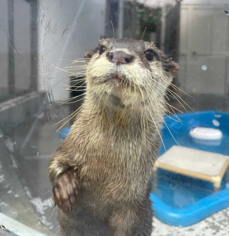 hontakuさんのよみうりランド眺望温泉 花景の湯のサ活写真