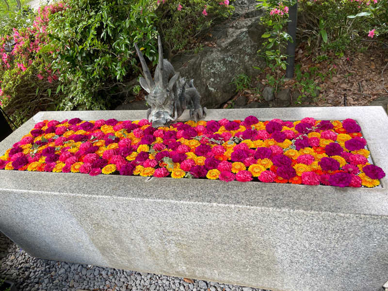 hontakuさんのよみうりランド眺望温泉 花景の湯のサ活写真