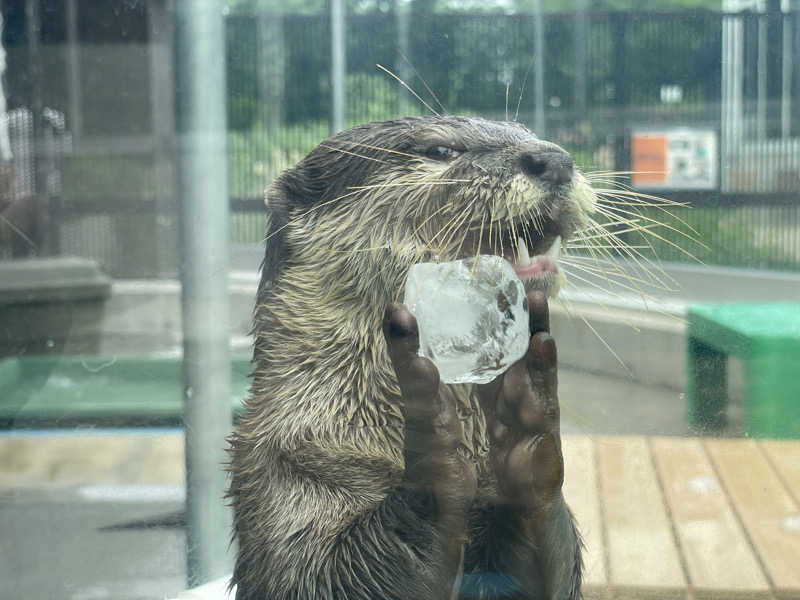 hontakuさんのよみうりランド眺望温泉 花景の湯のサ活写真