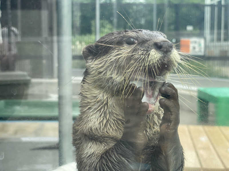 hontakuさんのよみうりランド眺望温泉 花景の湯のサ活写真