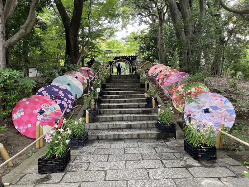 hontakuさんのよみうりランド眺望温泉 花景の湯のサ活写真