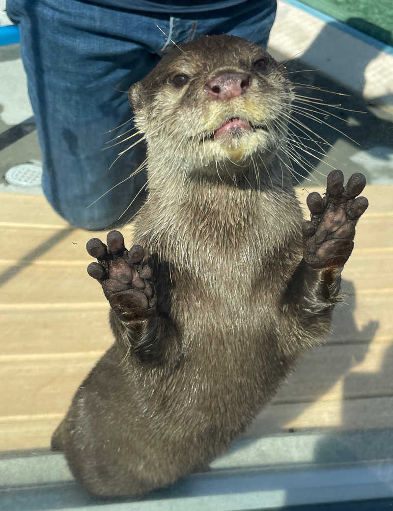 hontakuさんのよみうりランド眺望温泉 花景の湯のサ活写真