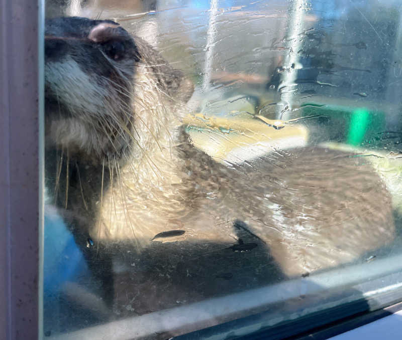 hontakuさんのよみうりランド眺望温泉 花景の湯のサ活写真