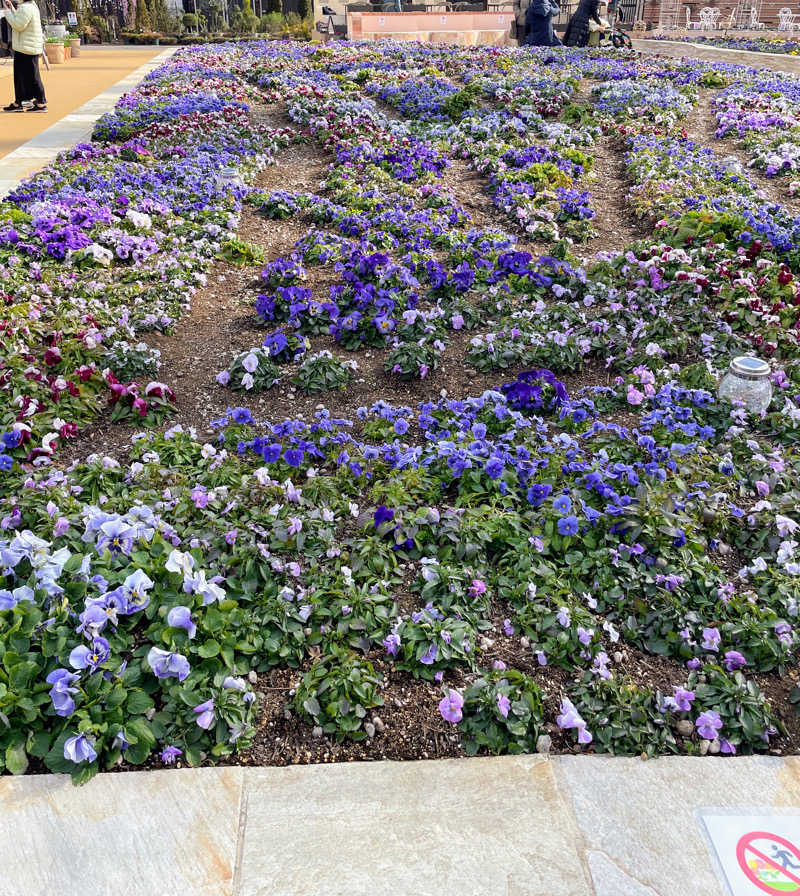 hontakuさんのよみうりランド眺望温泉 花景の湯のサ活写真