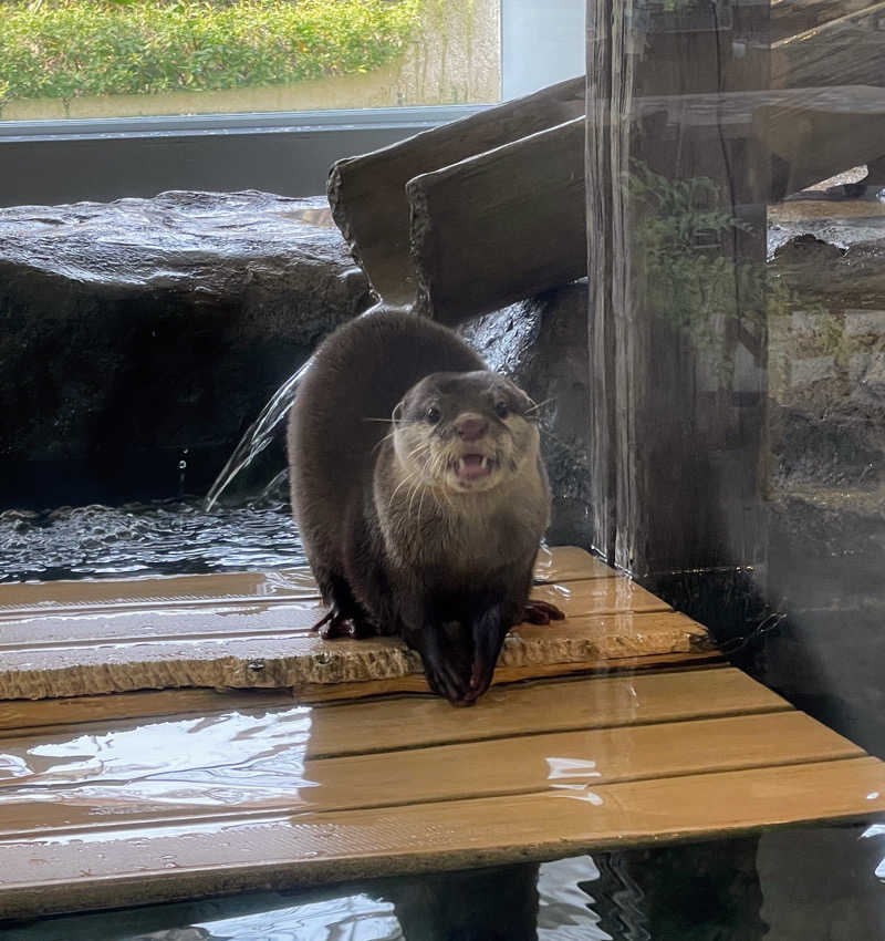 hontakuさんのよみうりランド眺望温泉 花景の湯のサ活写真