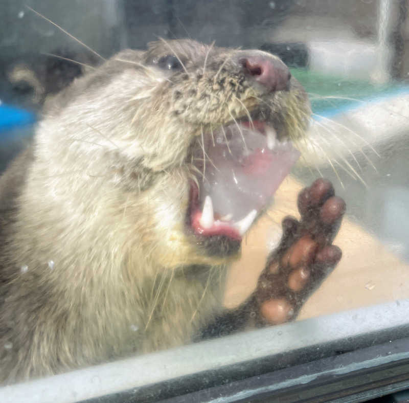 hontakuさんのよみうりランド眺望温泉 花景の湯のサ活写真