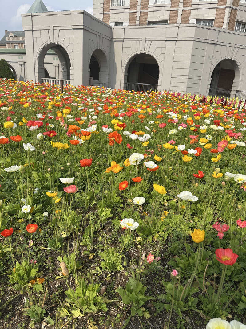 トゥントゥさんの大沢温泉 金仙花の湯 (神戸ホテルフルーツ・フラワー)のサ活写真