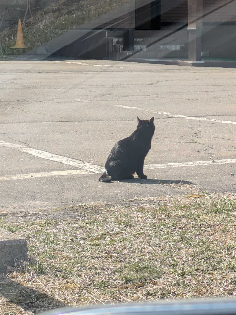 つっかー / TechDoさんの晩成温泉のサ活写真