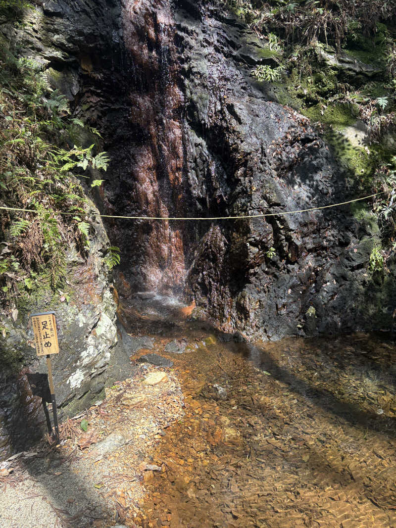 たあぼうさんの天光の湯のサ活写真