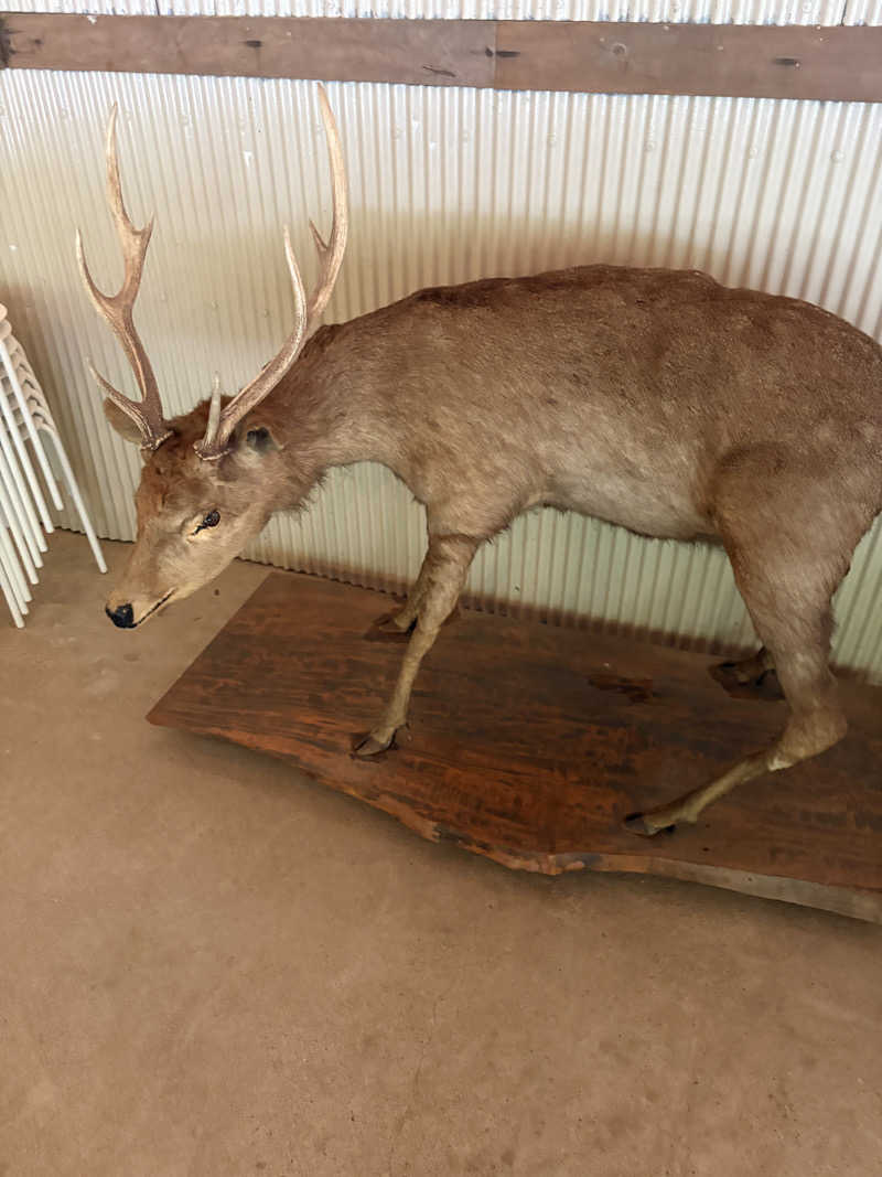 たあぼうさんのSauna Base SHIFUKUのサ活写真