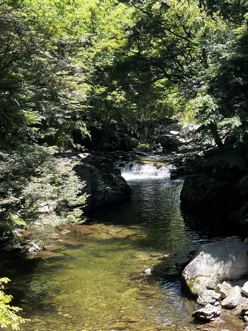 たあぼうさんの信州平谷温泉 ひまわりの湯のサ活写真