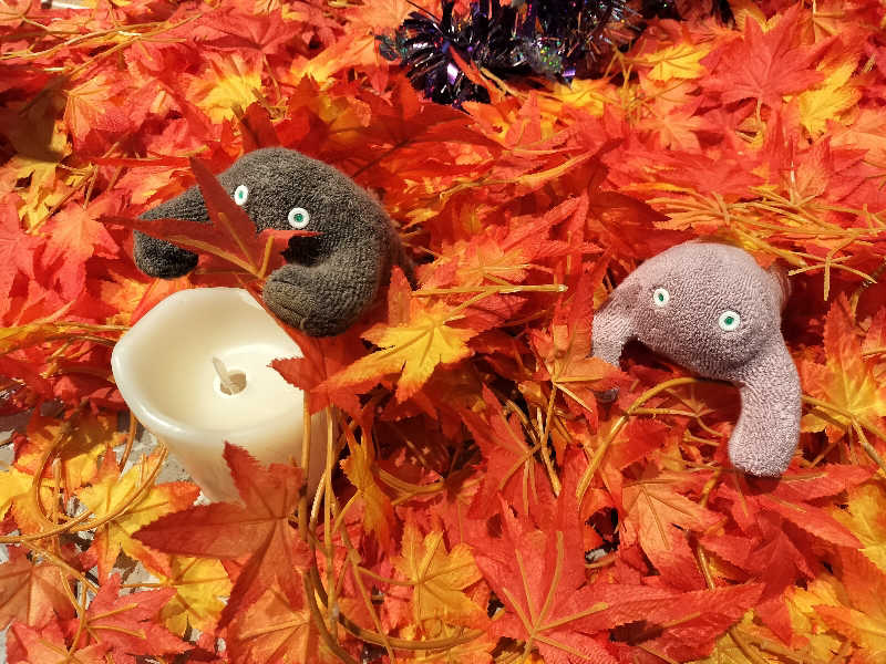 ちろさんの芦別温泉 おふろcafé 星遊館 (芦別温泉スターライトホテル)のサ活写真