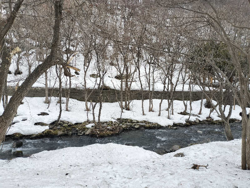 ちろさんの旅房はなえみのサ活写真