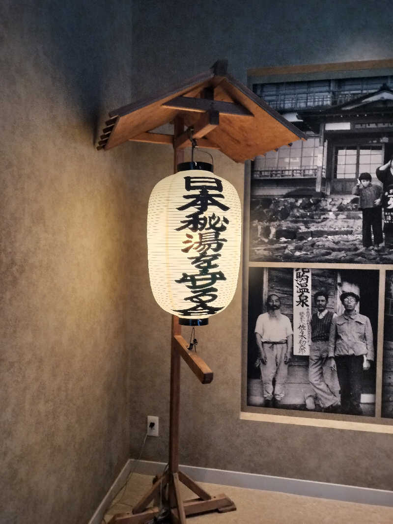 ちろさんの奥札幌の秘湯 湖畔の宿支笏湖 丸駒温泉旅館のサ活写真