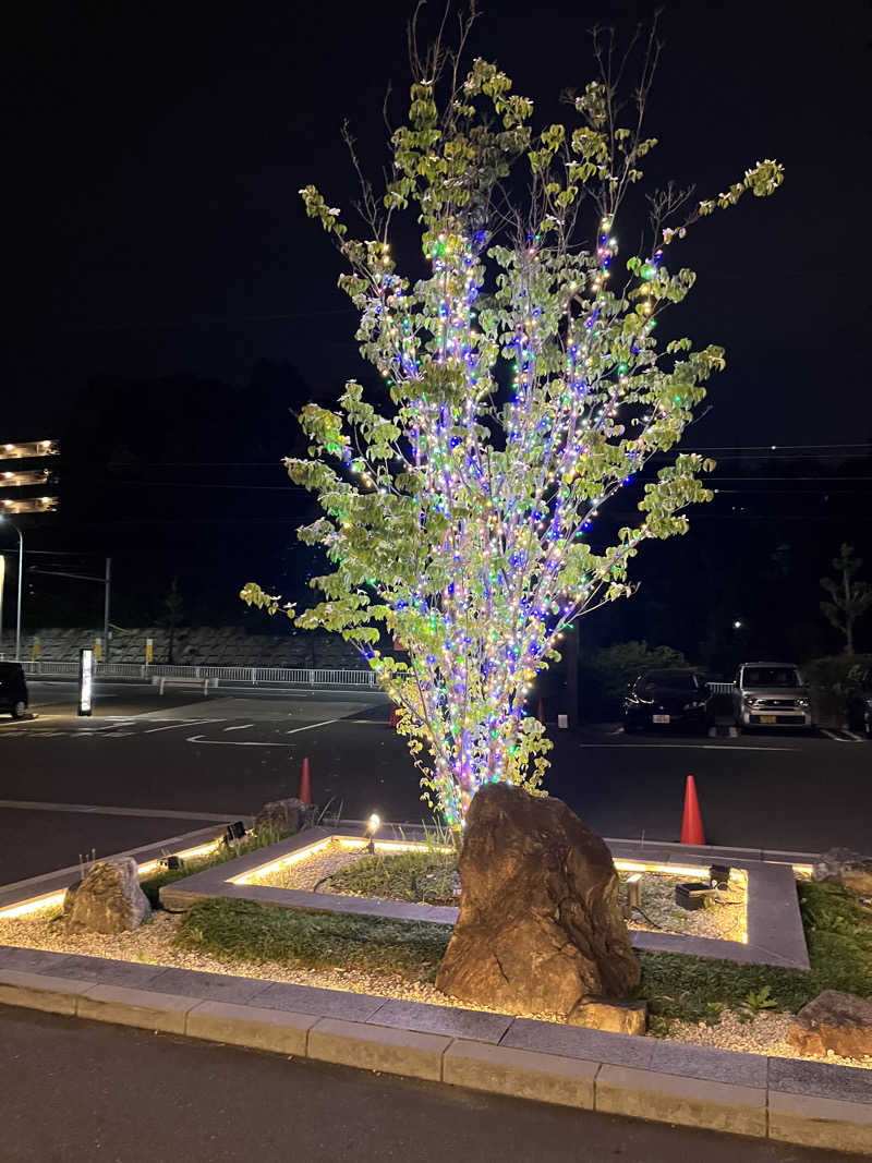 TkTrさんの天空SPA HILLS 竜泉寺の湯 名古屋守山本店のサ活写真