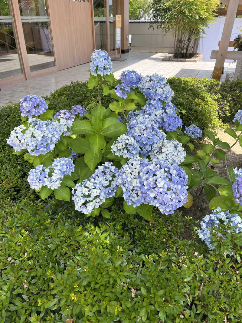 TkTrさんの天光の湯のサ活写真