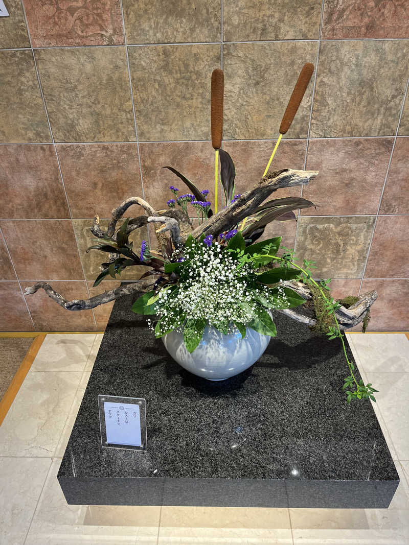 TkTrさんの天光の湯のサ活写真