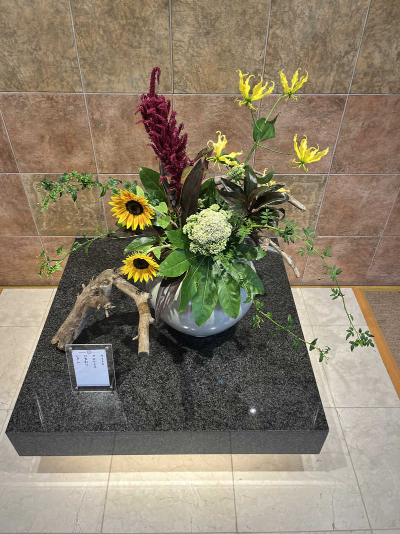 TkTrさんの天光の湯のサ活写真