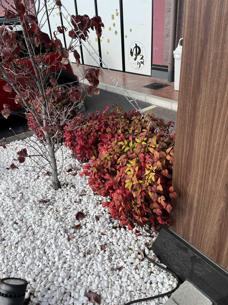 TkTrさんの湯ごころ ゆるりのサ活写真