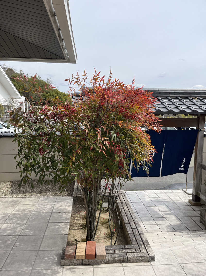 TkTrさんの天光の湯のサ活写真