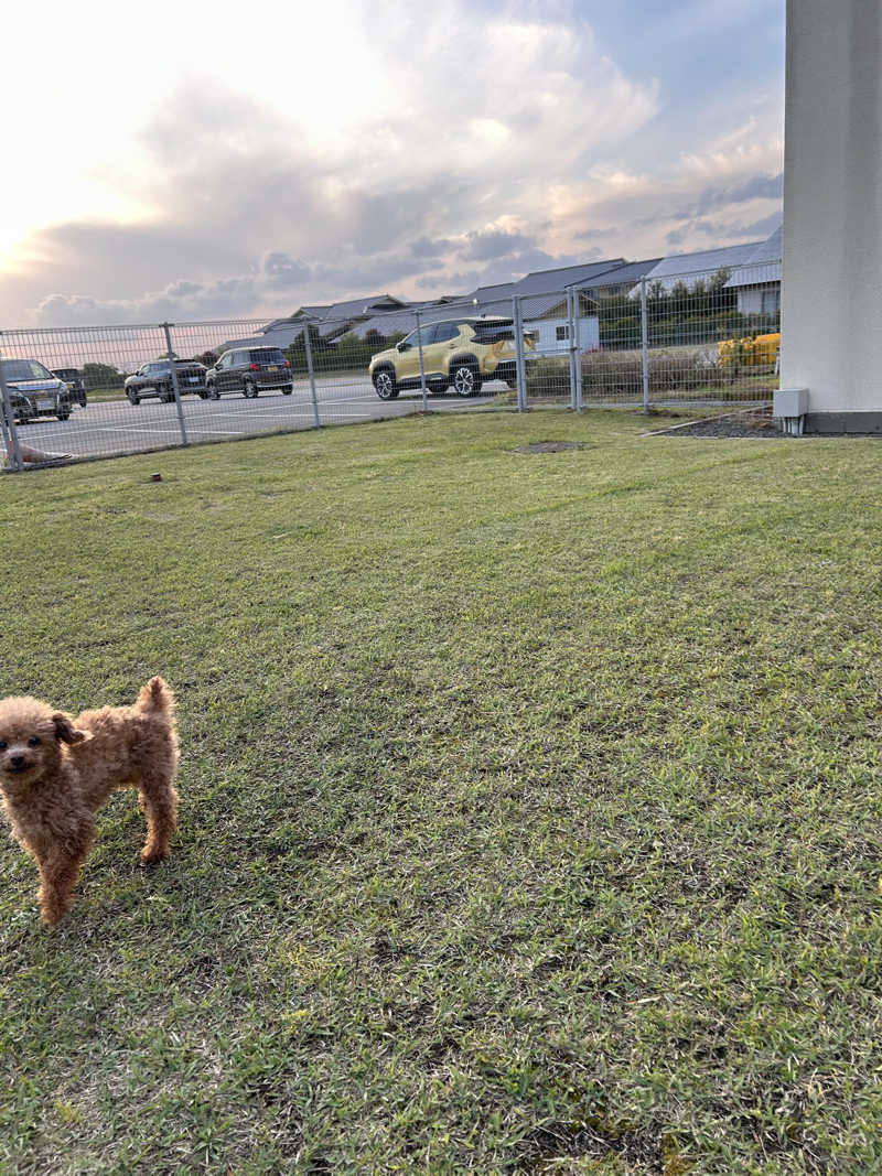angieさんのラピスパのサ活写真