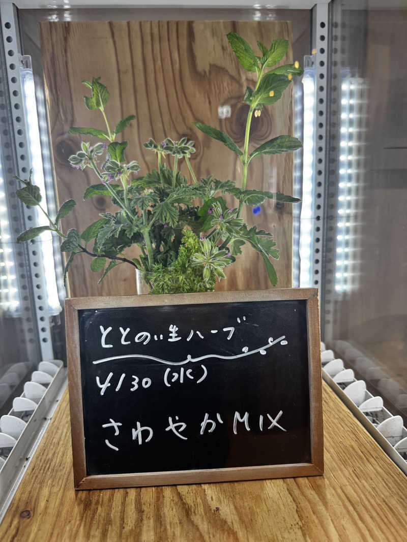 ぐりおさんの各務原 恵みの湯のサ活写真