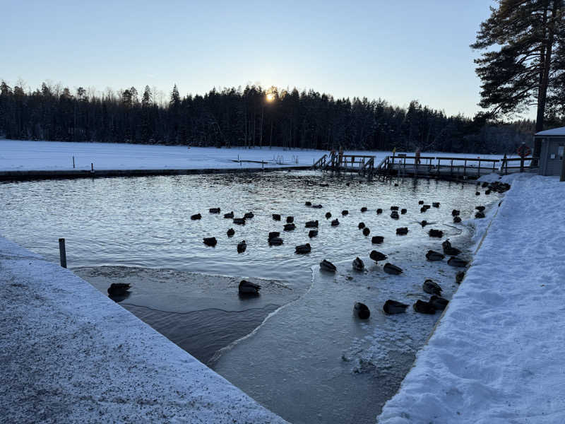 SunnyさんのCafe Kuusijärviのサ活写真