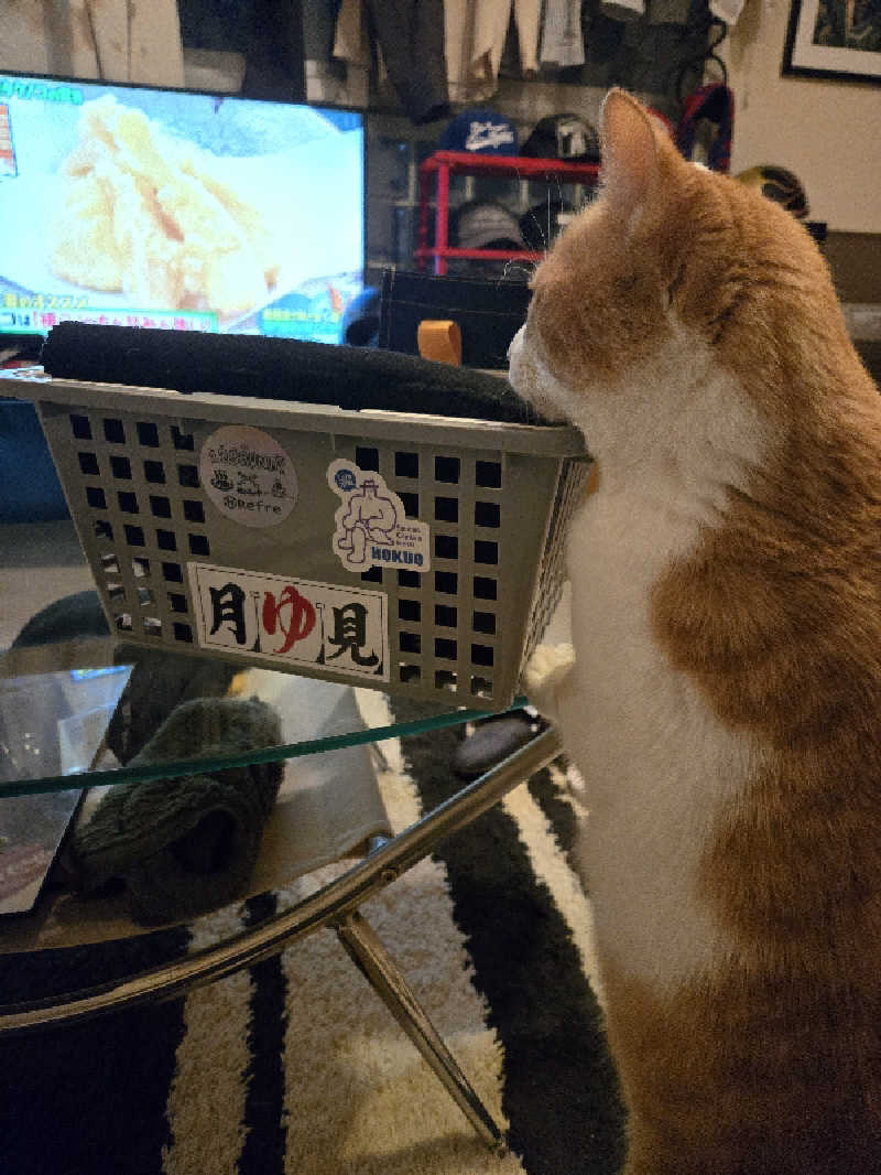 tadashiさんの湯処花ゆづきのサ活写真