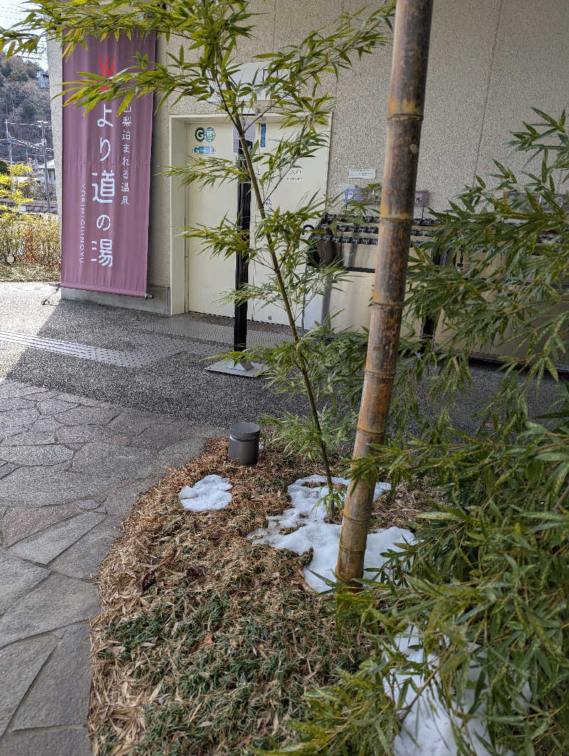 のりさんの山梨泊まれる温泉 より道の湯のサ活写真
